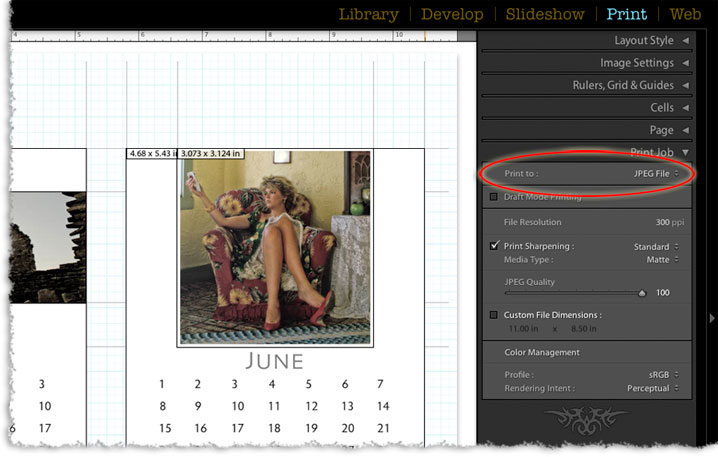the print to jpeg option in the print job panel of lightrooms print module