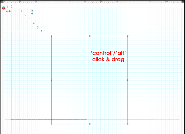creating a duplicate cell in a lightroom print module template