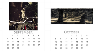 odd size aspect ratio cd case calendar