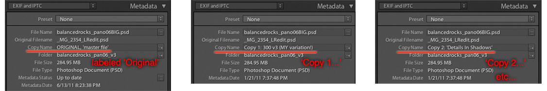 compare these three metadata panels in lightroom
