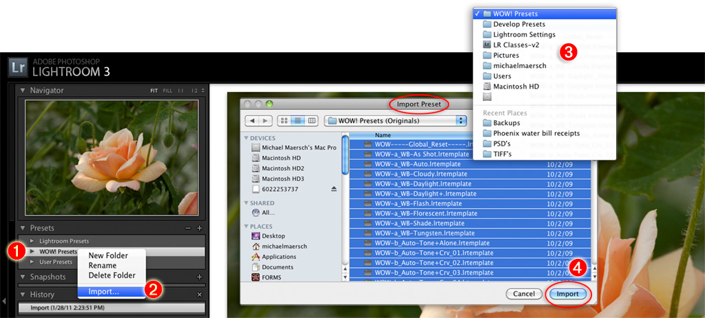select all the preset files you intend to import