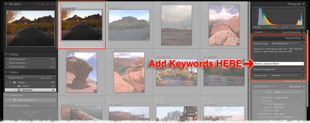 syncing metadata in lightroom