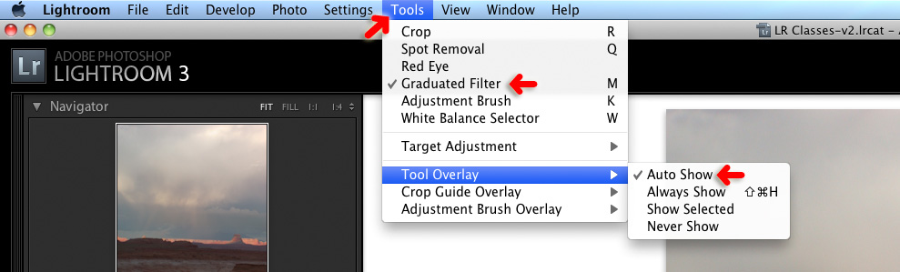 set the tool overlay preferences