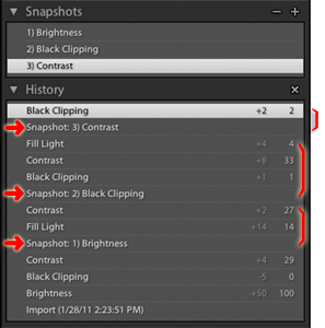 the snapshots and history panels in lightroom