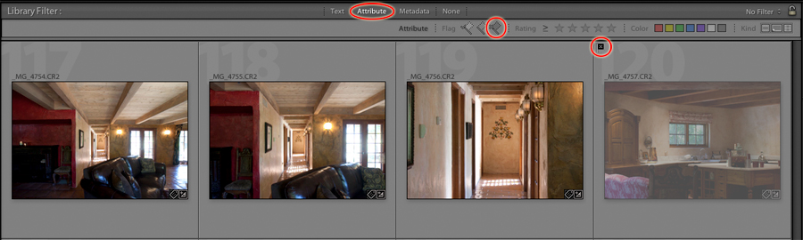 the lightroom library filter bar