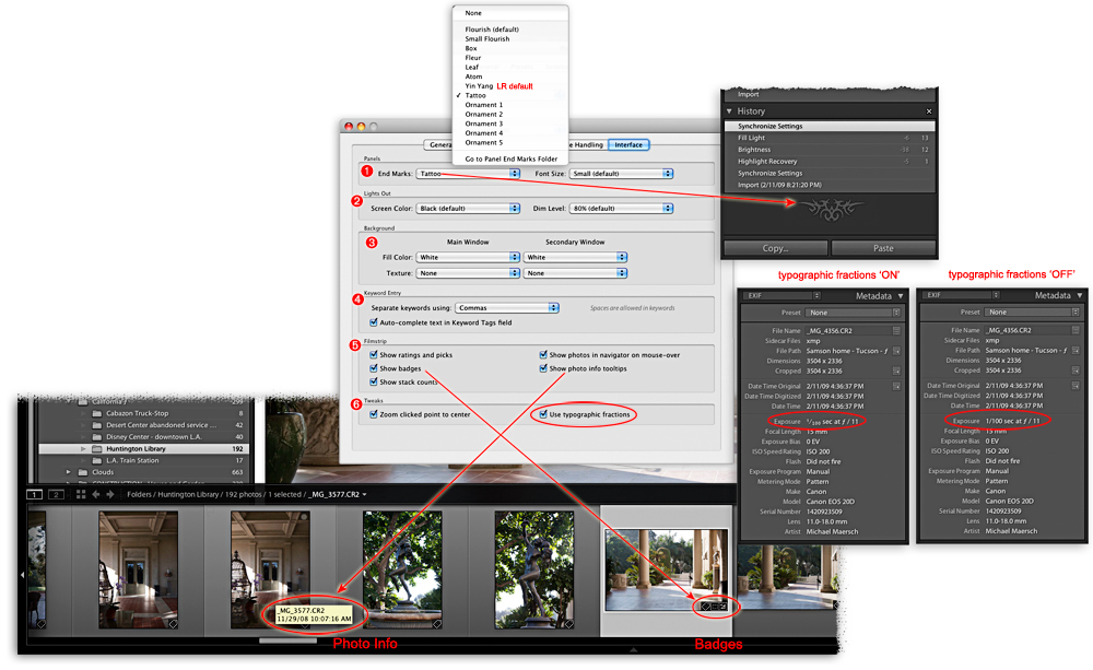 interface settings in the lightroom preferences panel