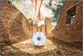 link to george harrison-debbie deback-wright movie