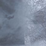 texture 0216 by michael maersch