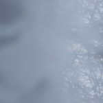 texture 0221 by michael maersch