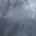 texture 0244 by michael maersch