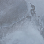 texture 0265 by michael maersch