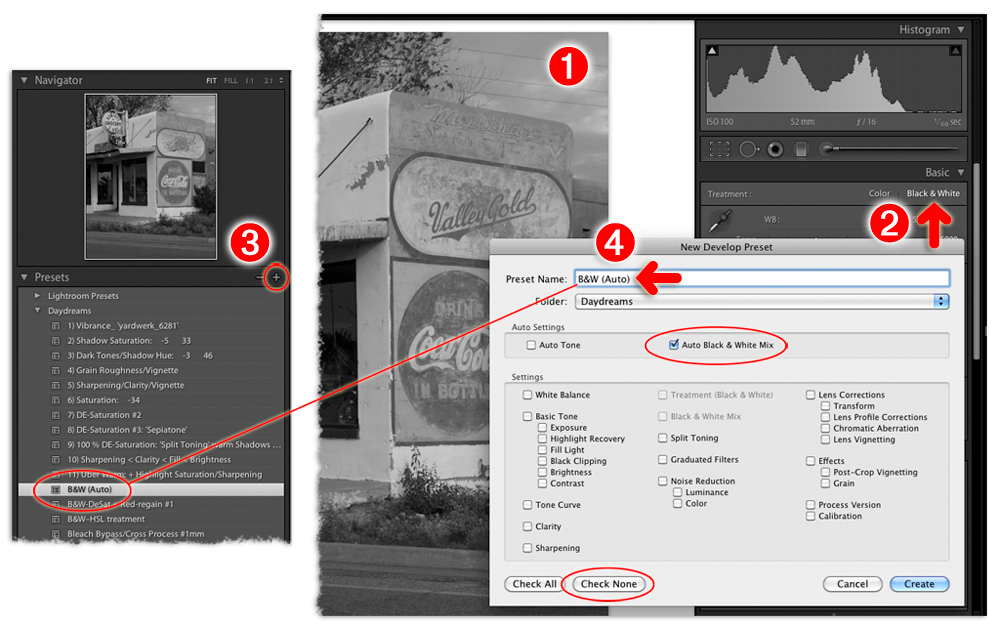 create an auto black and white mix preset in lightroom